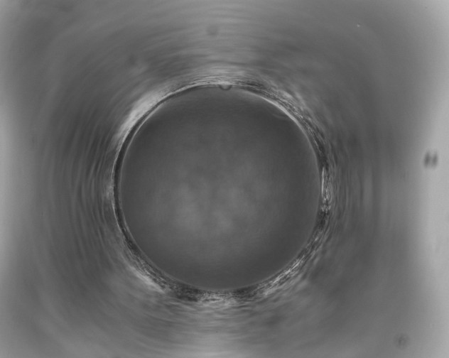 X0000091940099200709121627