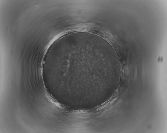 X0000091940100200709121627