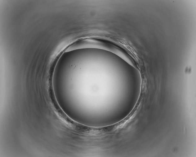 X0000091940101200709121627