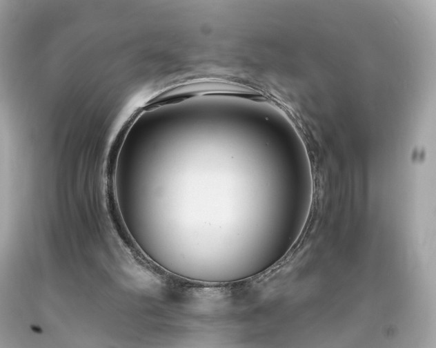 X0000091940102200709121627