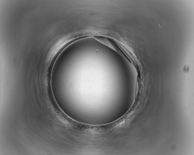 X0000091940103200709121627