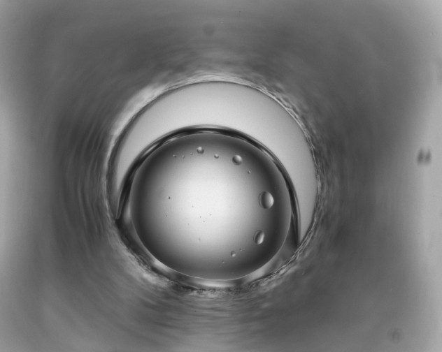 X0000091940104200709121627