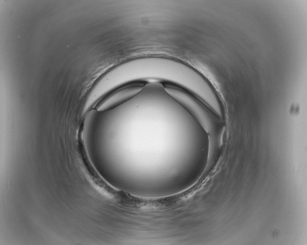 X0000091940105200709121627