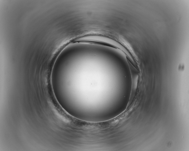 X0000091940106200709121627