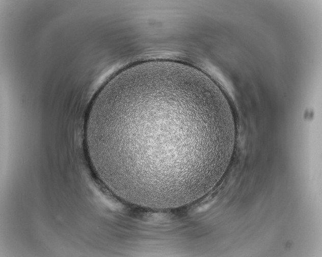 X0000091940107200709121627