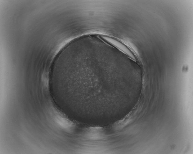 X0000091940108200709121627