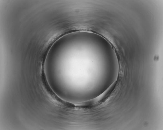 X0000091940109200709121627