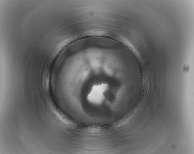 X0000091940110200709121627