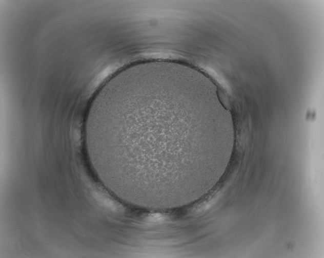 X0000091940111200709121627