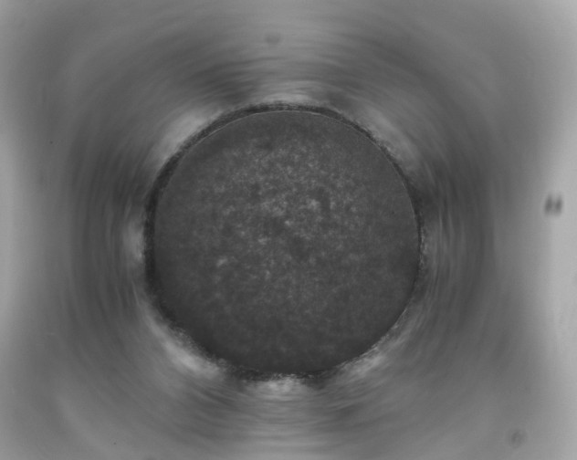 X0000091940112200709121627