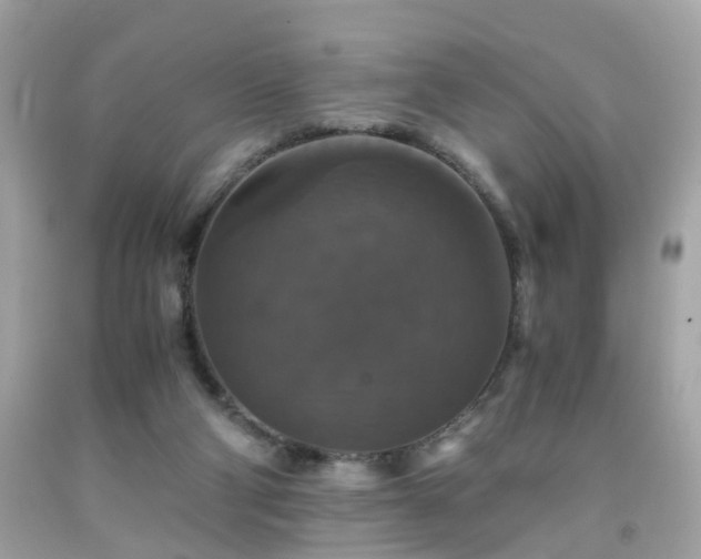 X0000091940114200709121627