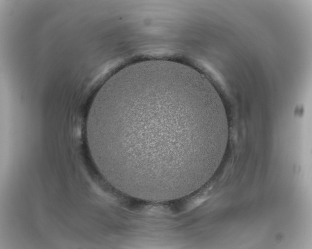 X0000091940115200709121627