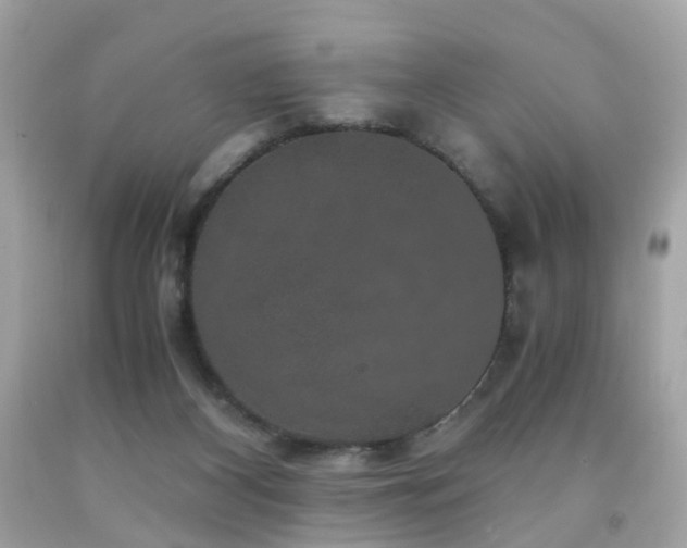 X0000091940116200709121627