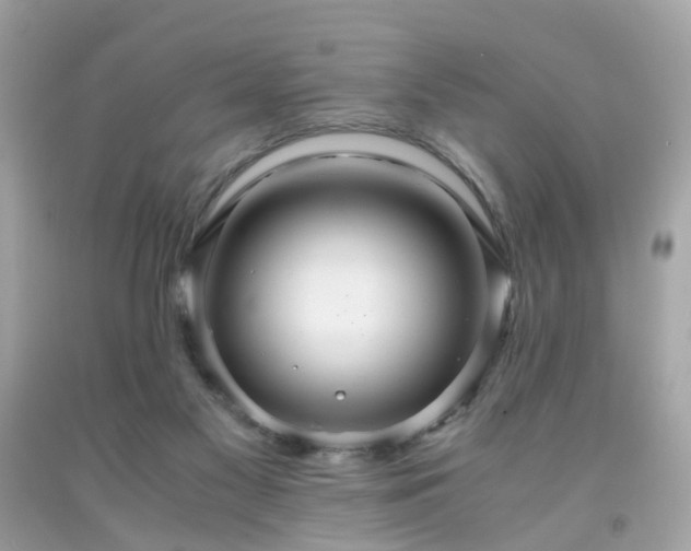 X0000091940117200709121627