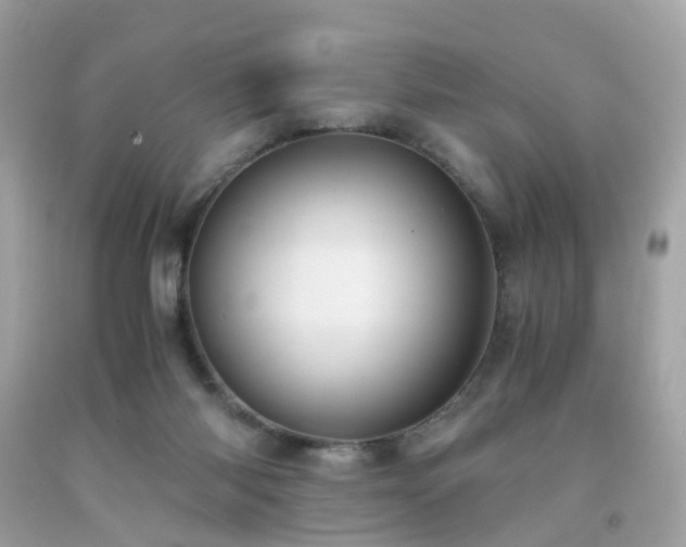 X0000091940118200709121627