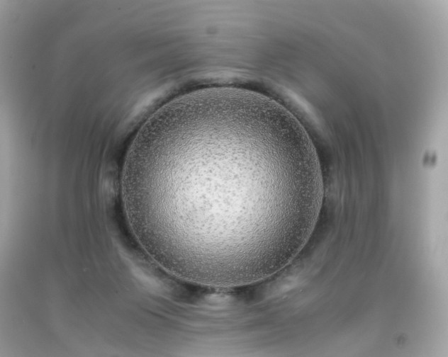 X0000091940119200709121627