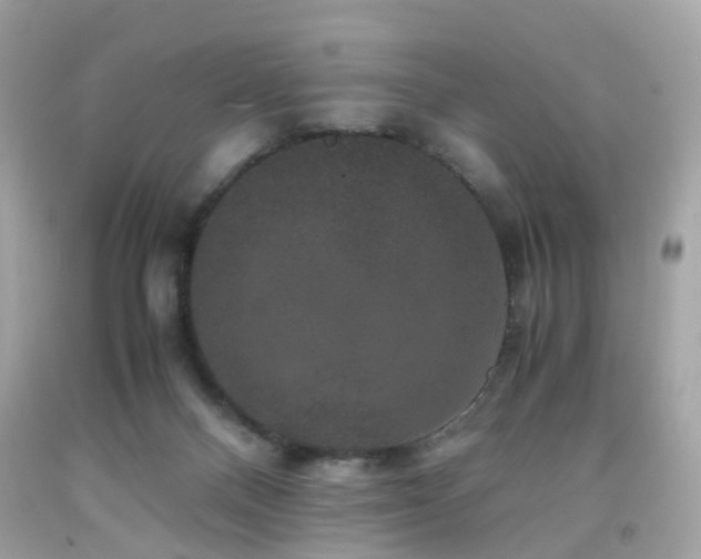 X0000091940120200709121627