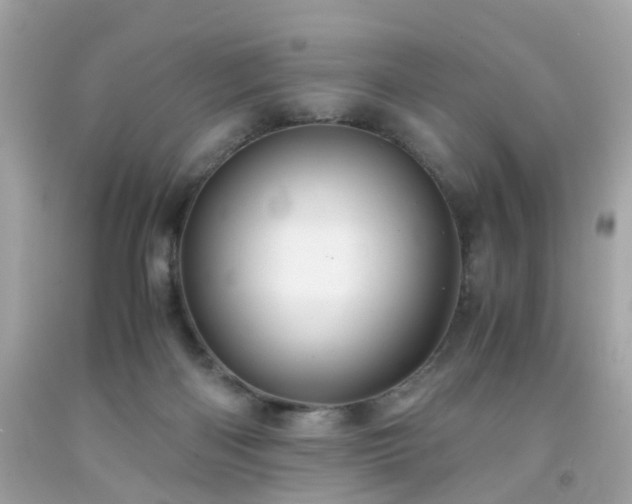 X0000091940122200709121627