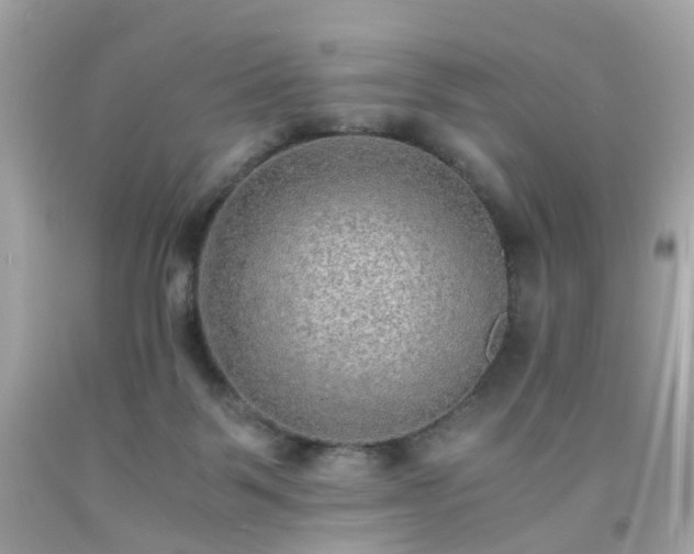 X0000091940123200709121627