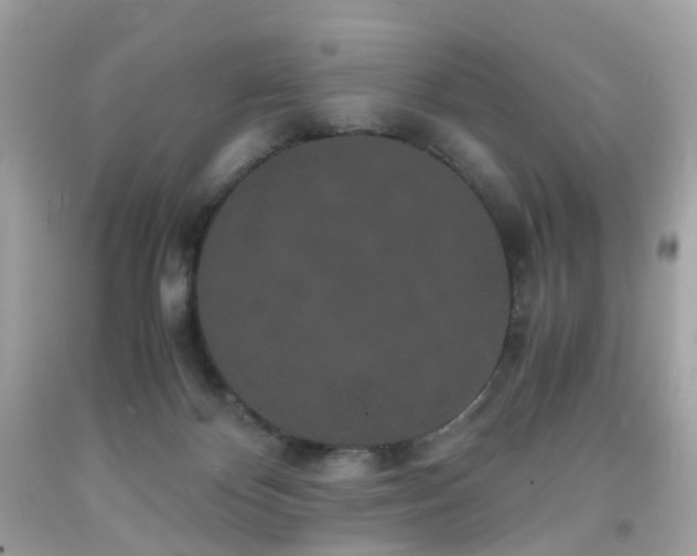 X0000091940124200709121627