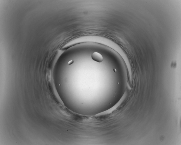 X0000091940125200709121627