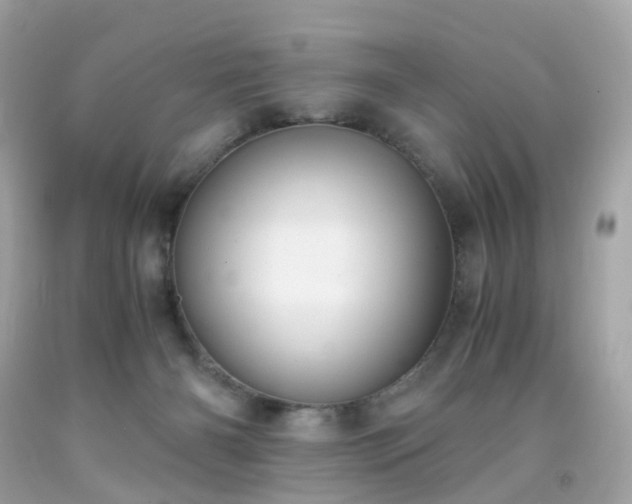 X0000091940126200709121627