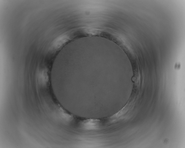 X0000091940128200709121627