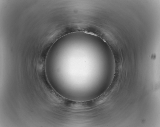 X0000091940129200709121627