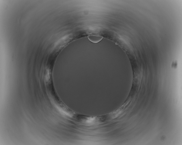 X0000091940130200709121627