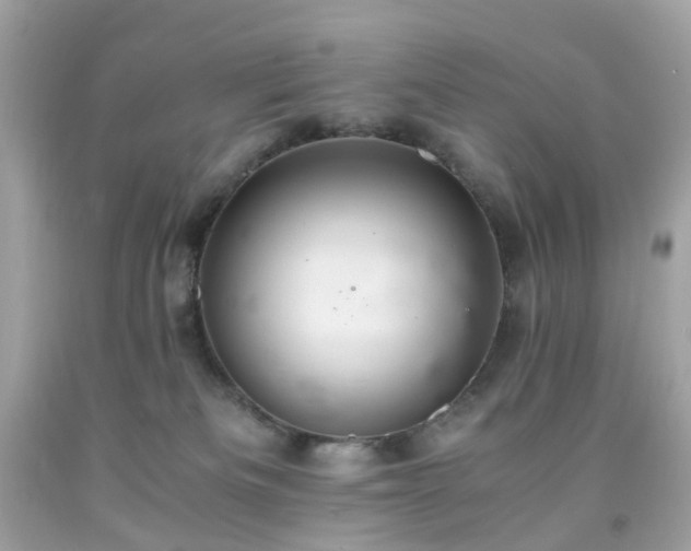 X0000091940133200709121627