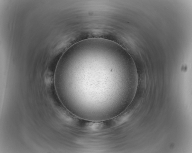 X0000091940135200709121627