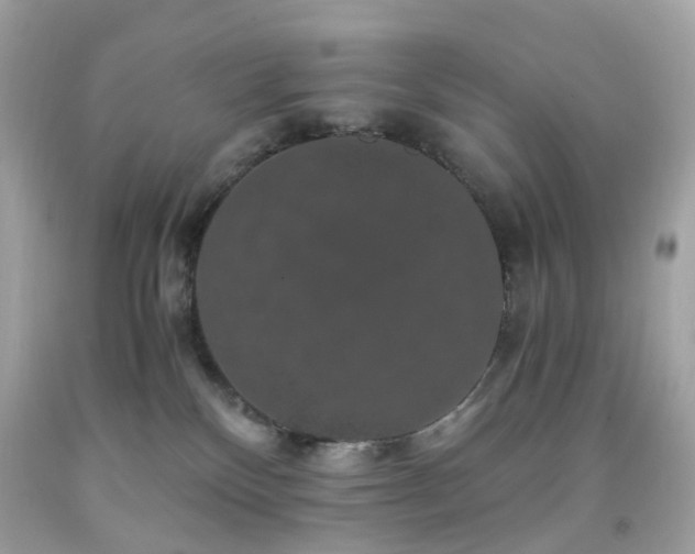 X0000091940136200709121626