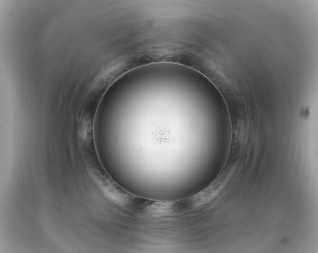 X0000091940138200709121626