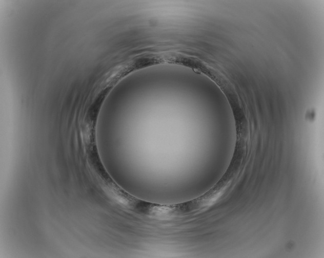 X0000091940139200709121626