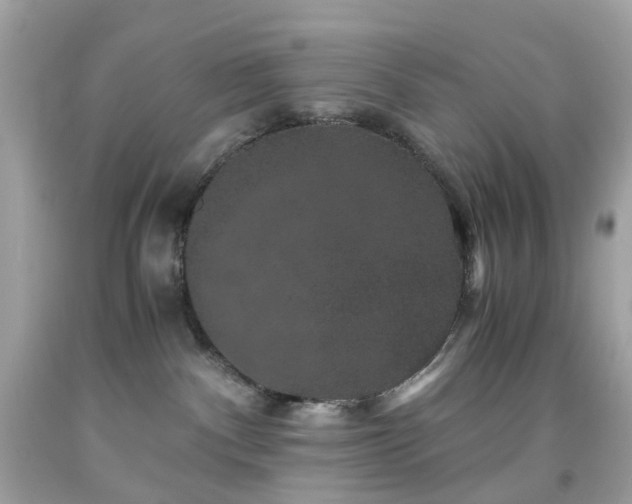 X0000091940140200709121626