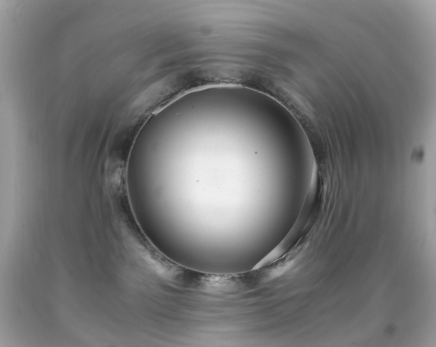 X0000091940141200709121626