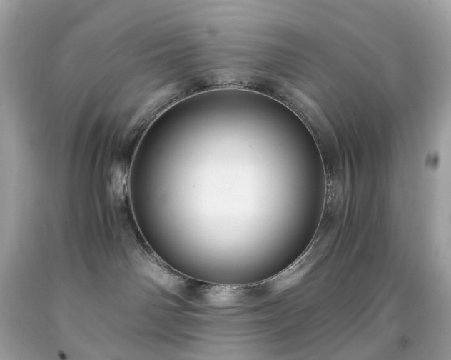 X0000091940142200709121626