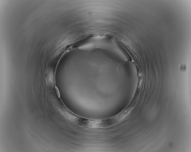 X0000091940143200709121626