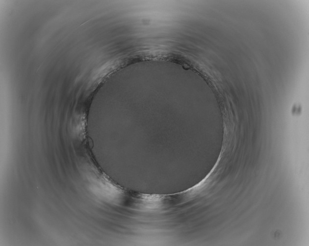 X0000091940144200709121626