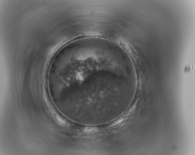 X0000091940145200709121626