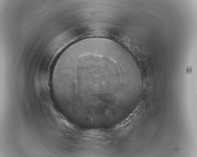 X0000091940146200709121626