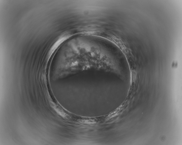 X0000091940147200709121626