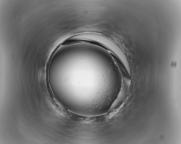 X0000091940148200709121626