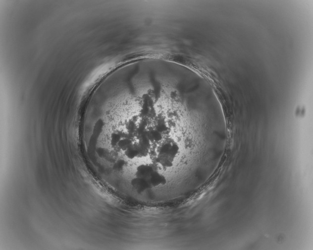 X0000091940149200709121626