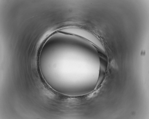 X0000091940150200709121626