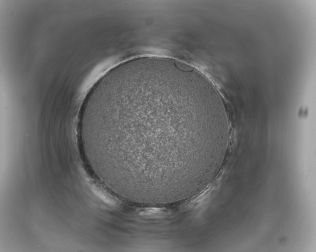 X0000091940151200709121626