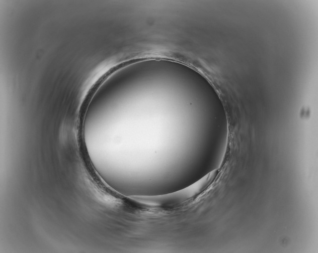 X0000091940152200709121626