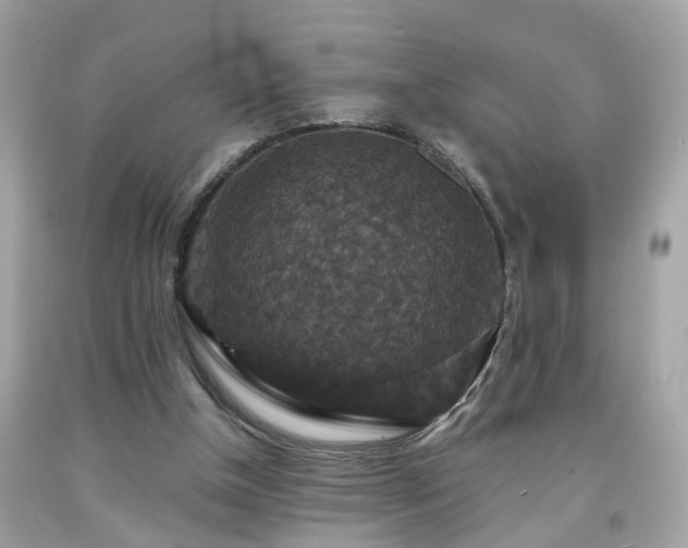 X0000091940154200709121626