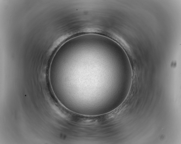 X0000091940155200709121626