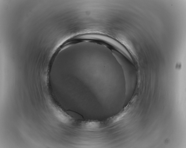 X0000091940156200709121626